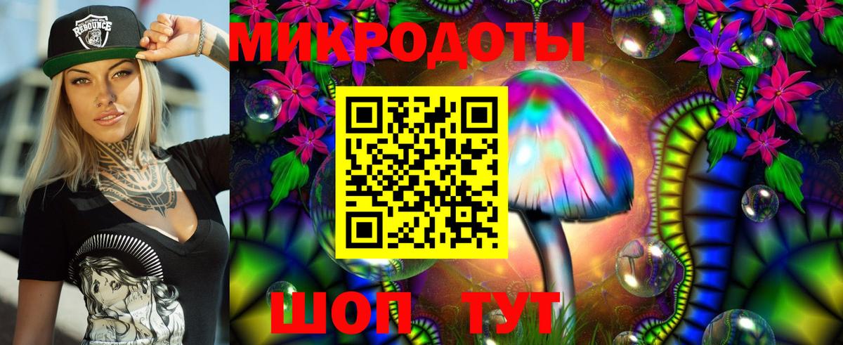 Галлюциногенные грибы Cubensis  Вход с VPN  Пятигорск 