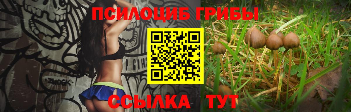 Галлюциногенные грибы мицелий Пятигорск